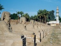 120px-Egypt.LuxorTemple.03